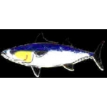 OCEAN FISH PINS SKIPJACK TUNA PIN